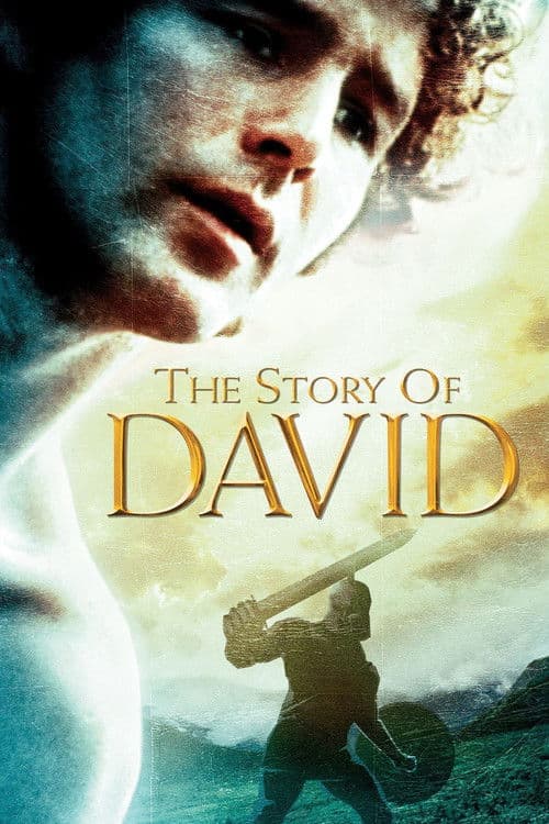 The Story of David afişi