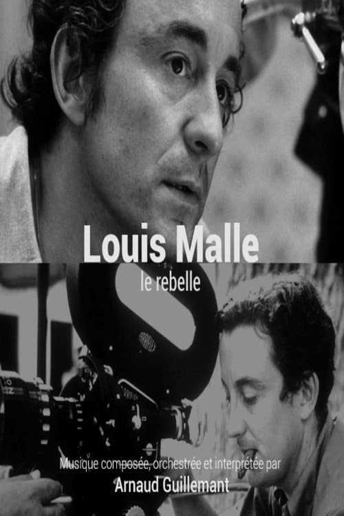 Louis Malle, le rebelle afişi