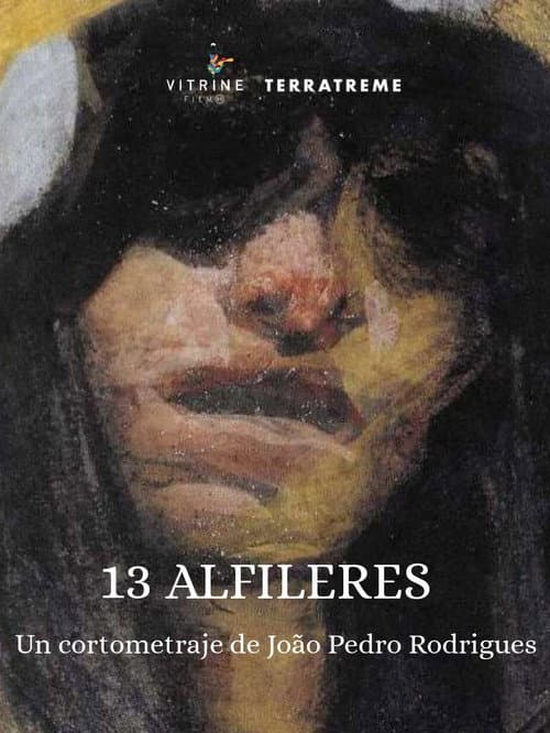 13 Alfinetes afişi