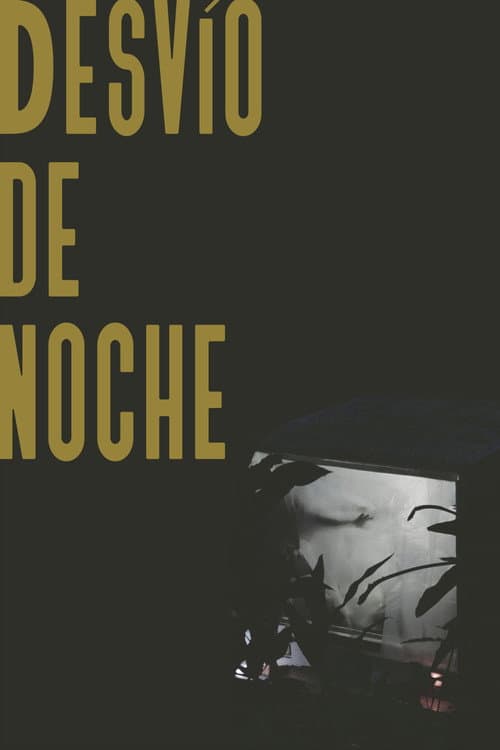 Desvío de noche afişi