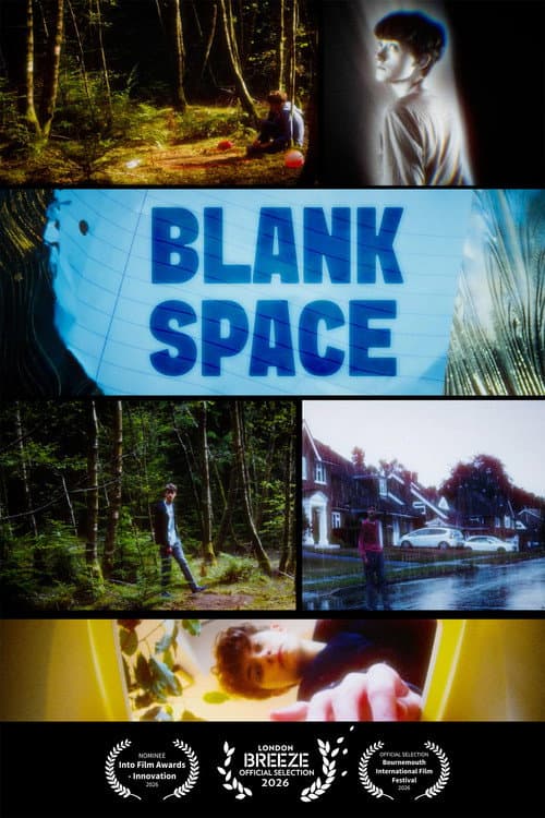 Blank Space afişi