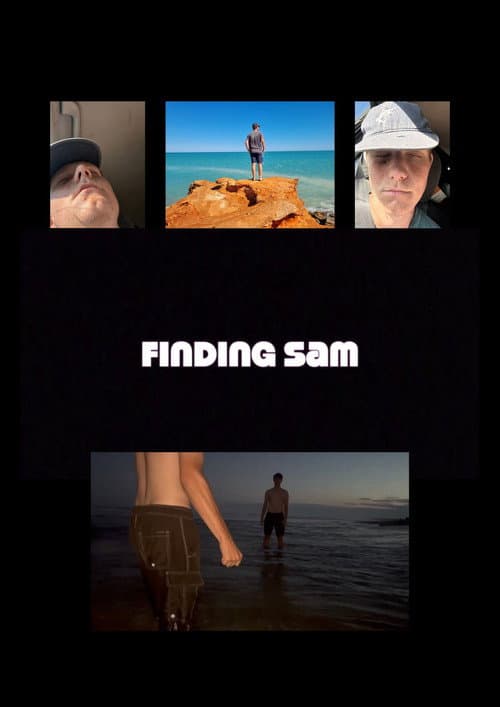 Finding Sam afişi