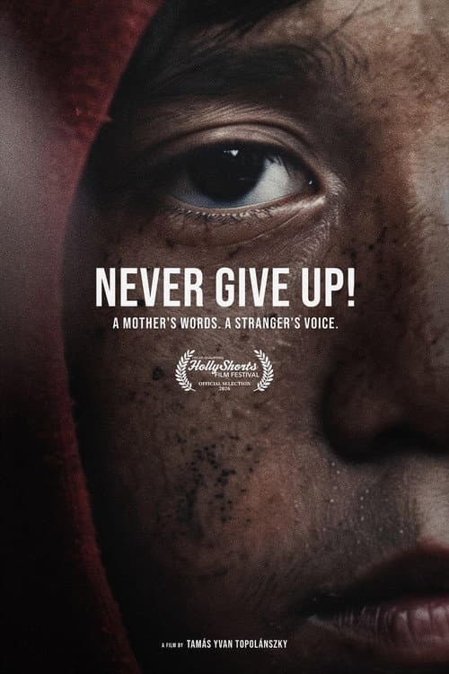 Never Give Up! afişi
