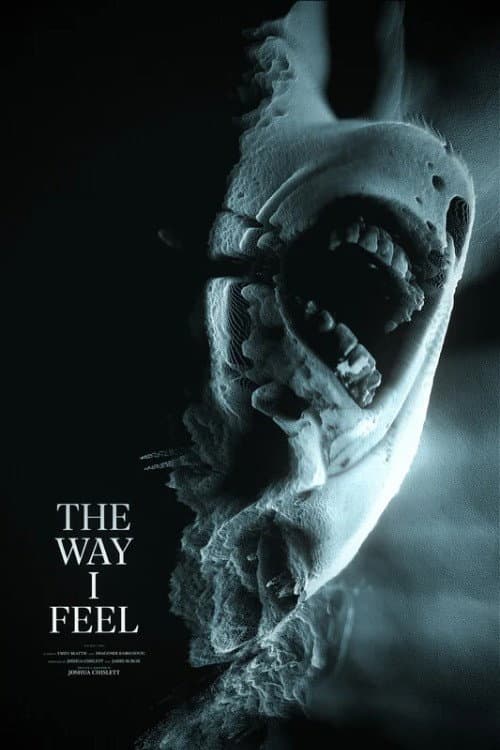 The Way I Feel afişi