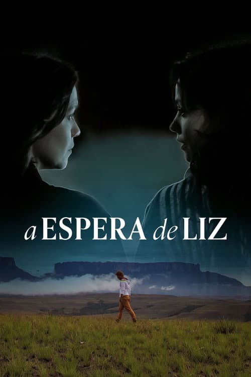 A Espera de Liz afişi