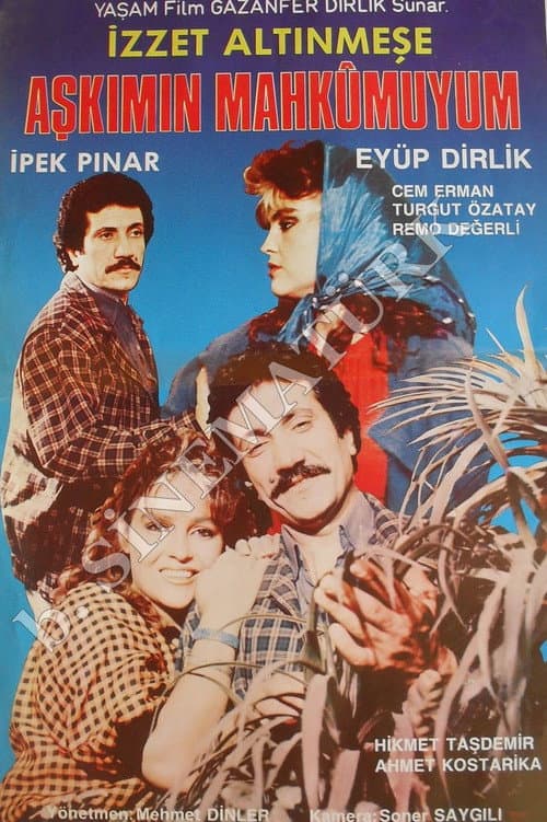 Aşkımın Mahkumuyum afişi