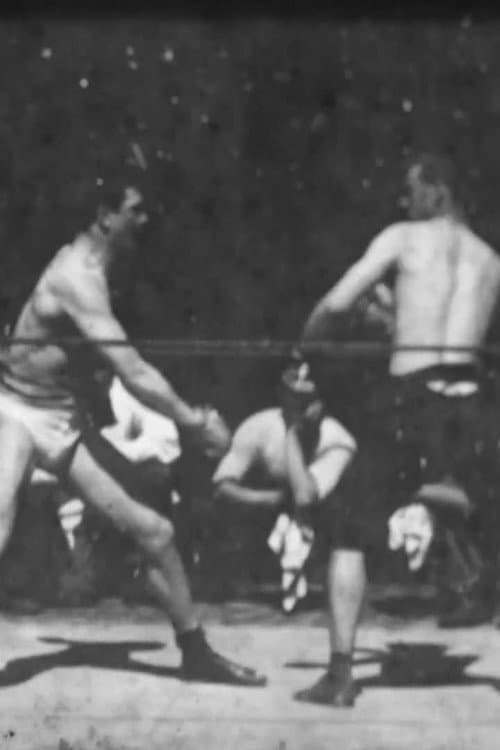 Boxing Match afişi