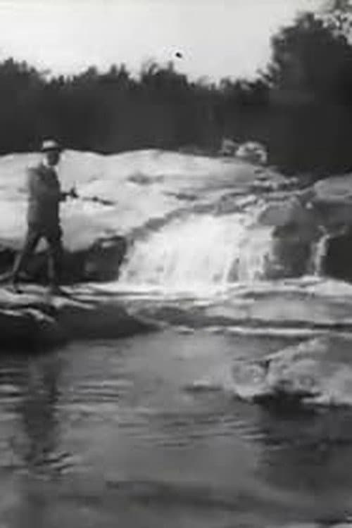 Brook Trout Fishing afişi