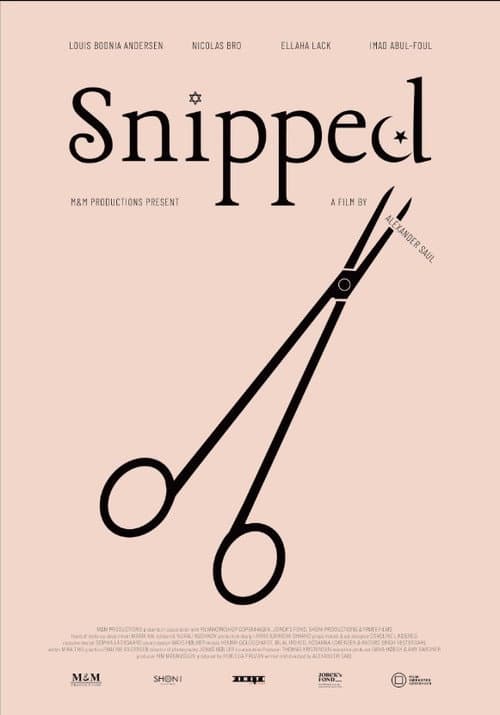 Snipped afişi