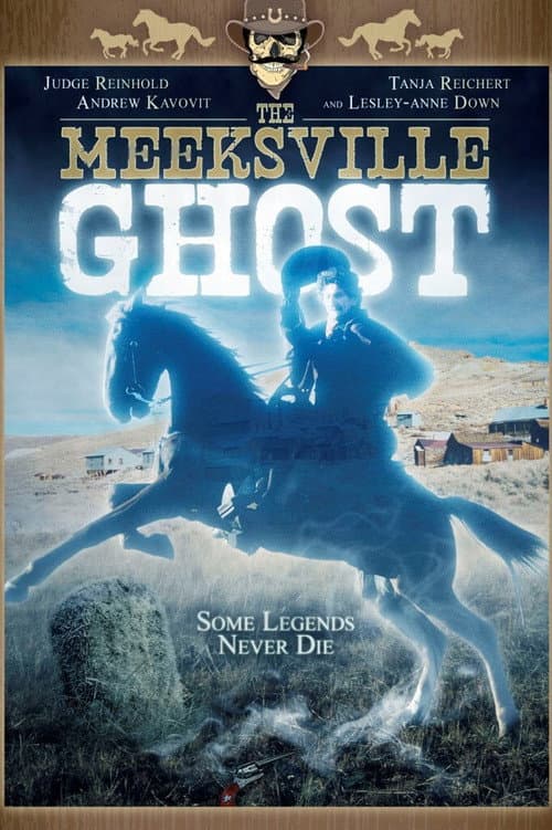 The Meeksville Ghost afişi