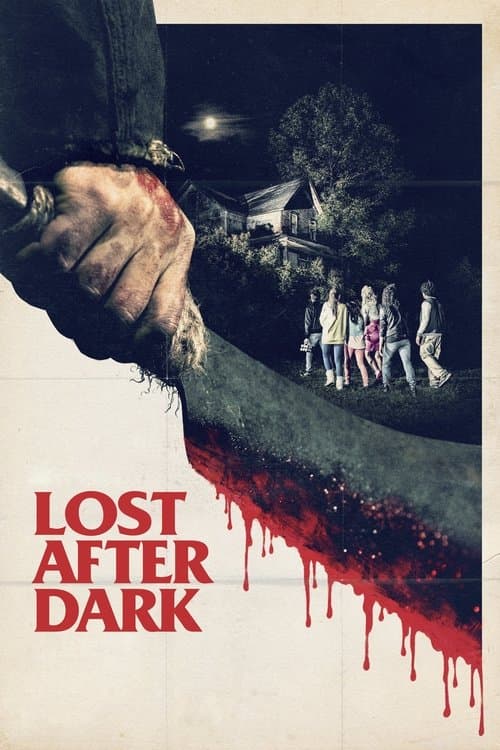 Lost After Dark afişi