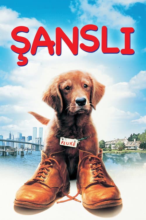 Şanslı afişi