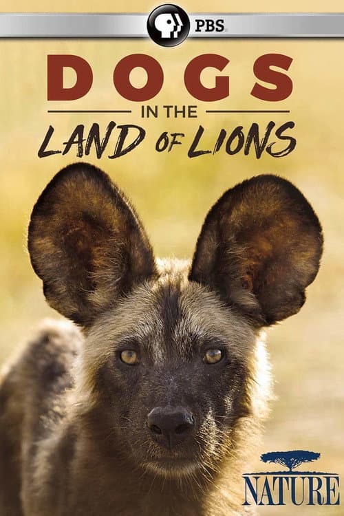 Dogs in the Land of Lions afişi
