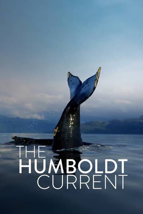 The Humboldt Current afişi
