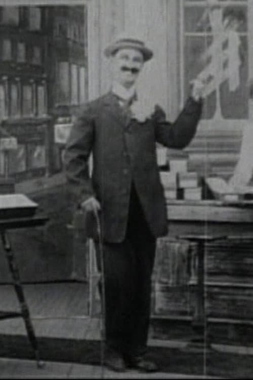 Mr. Flip afişi
