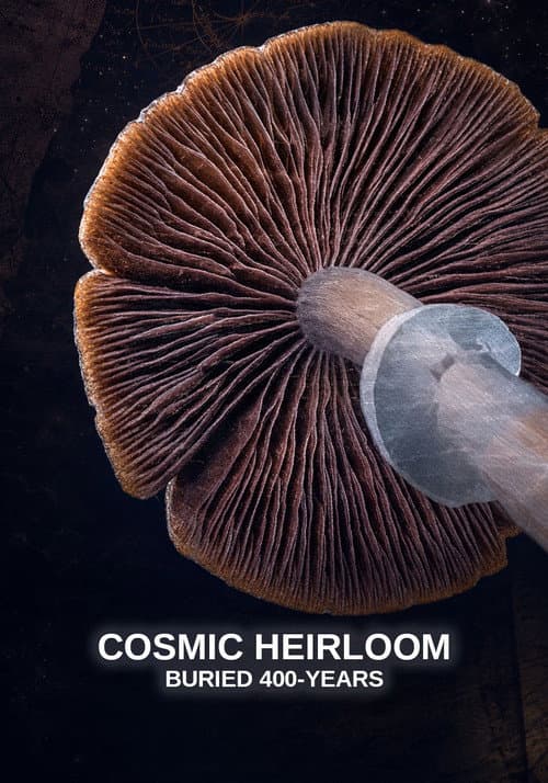 Cosmic Heirloom: Buried 400 Years afişi