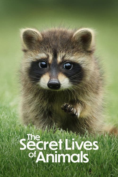 The Secret Lives of Animals afişi