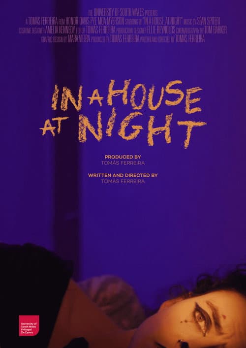 In a House, At Night afişi