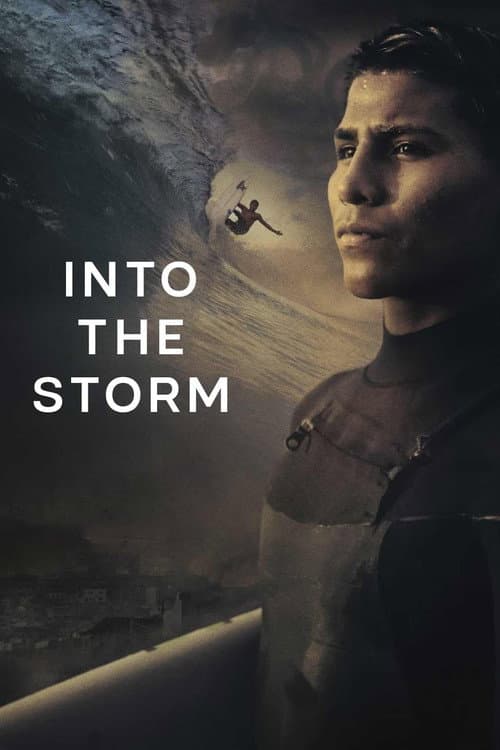 Into the Storm afişi