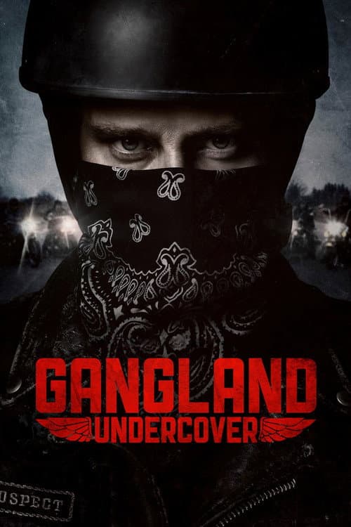 Gangland Undercover afişi