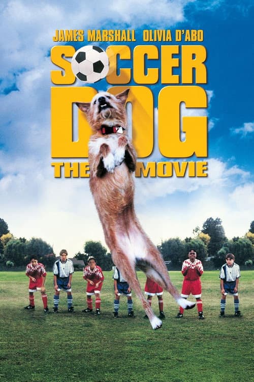 Şampiyon Köpek afişi
