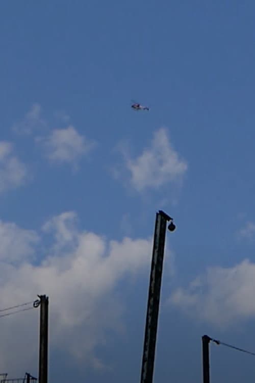 Flying Over Brooklyn afişi