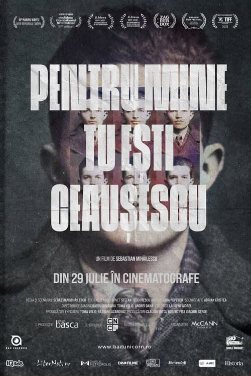 Pentru mine tu ești Ceaușescu afişi