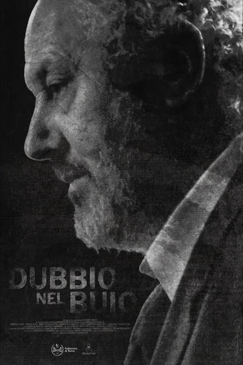 Dubbio nel buio afişi
