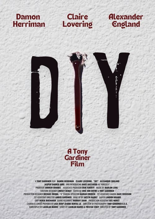 DIY afişi