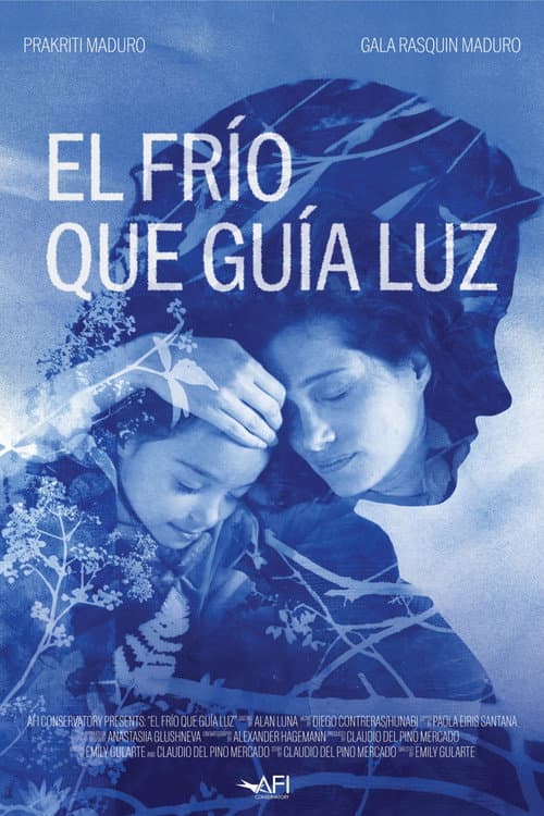 El Frío Que Guía Luz afişi