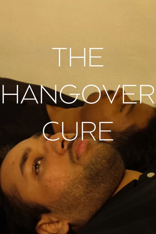 The Hangover Cure afişi