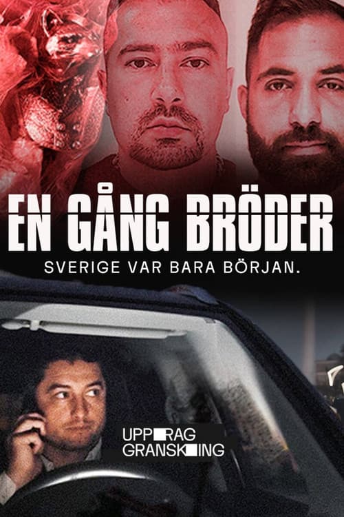 Uppdrag granskning: En gång bröder afişi