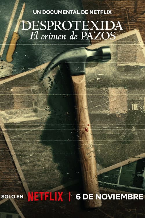 Desprotexida: el crimen de Pazos afişi