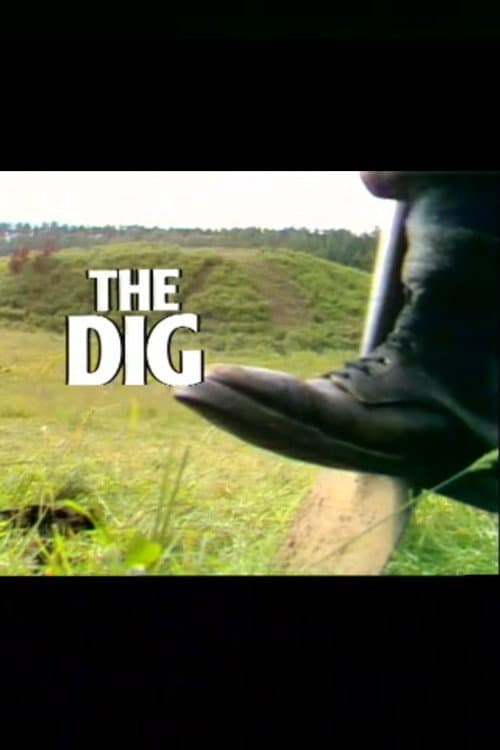 The Dig afişi
