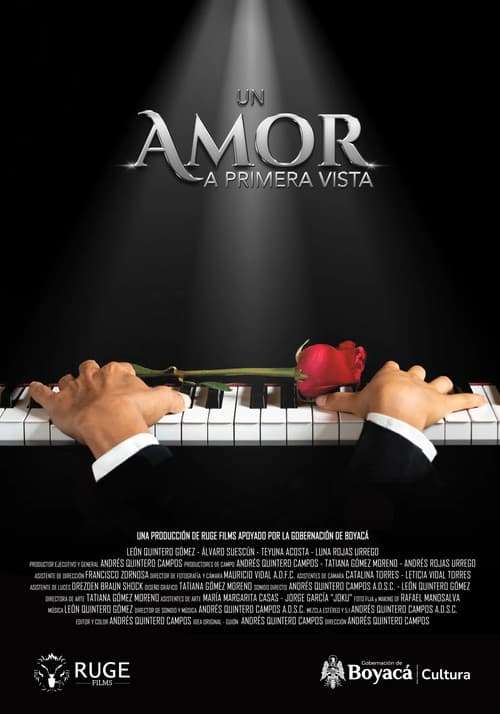 Un amor a primera vista afişi