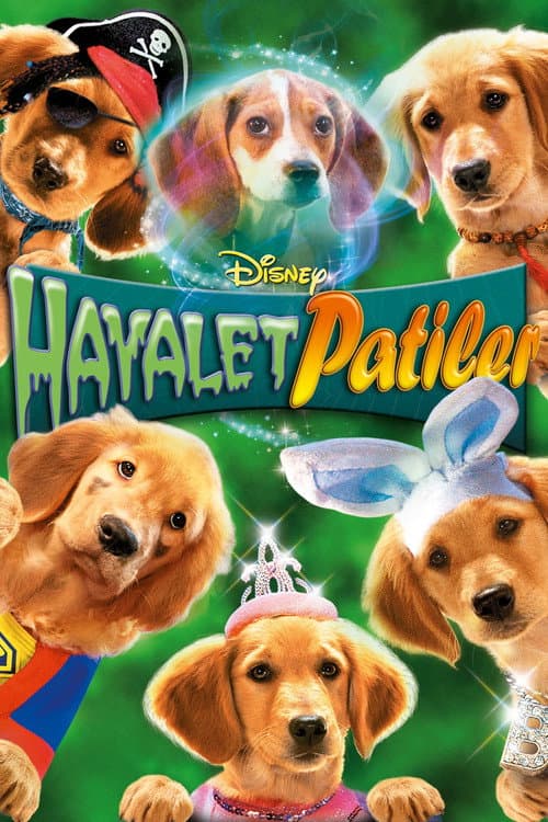 Hayalet Patiler afişi