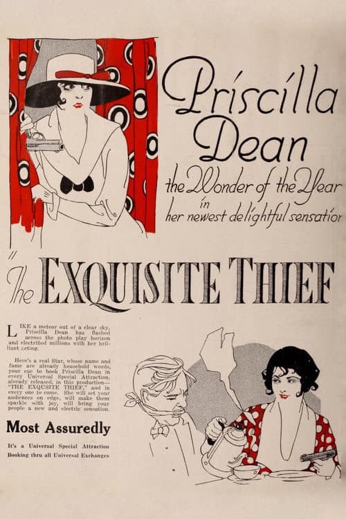 The Exquisite Thief afişi