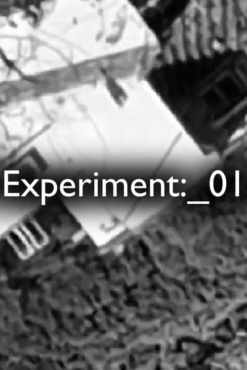 Experiment:_01 afişi