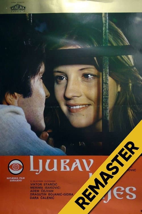 Ljubav i bijes afişi
