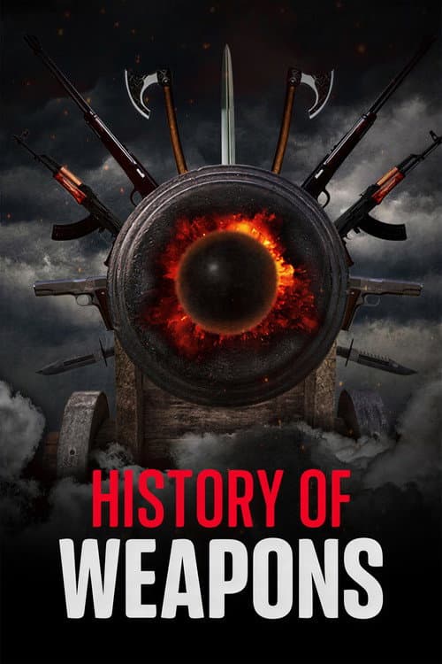 History of Weapons afişi