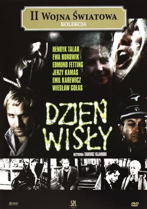 Dzień Wisły afişi