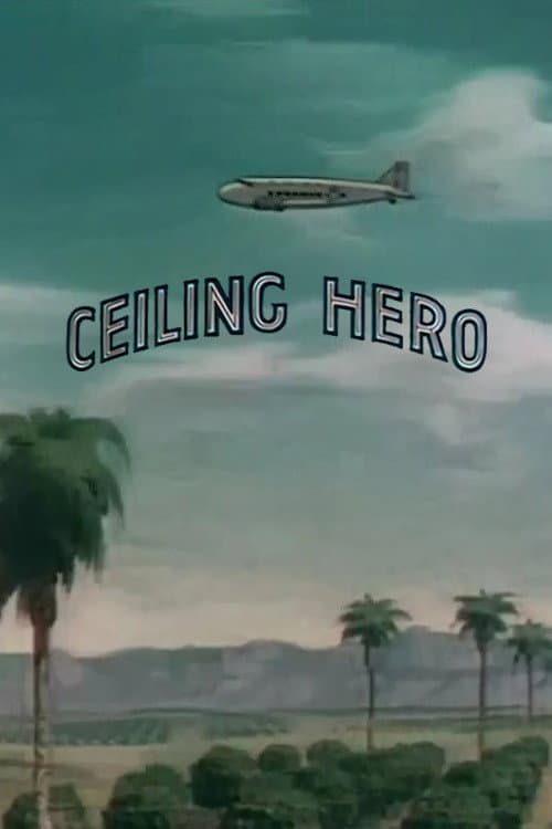 Ceiling Hero afişi