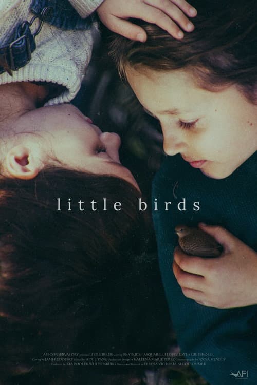 Little Birds afişi