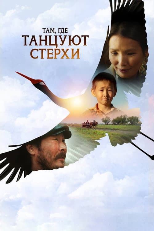 Where the White Cranes Dance afişi