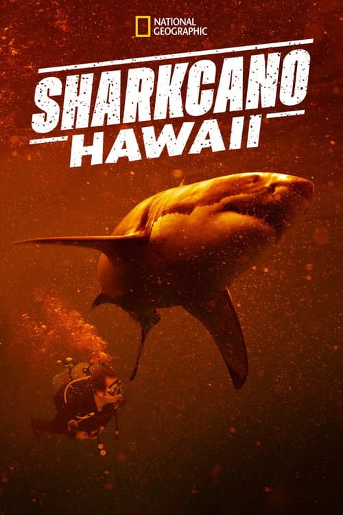 Sharkcano: Hawaii afişi