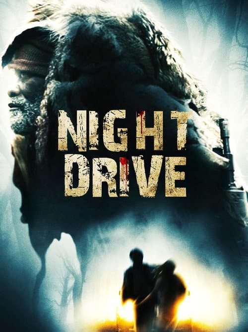 Night Drive afişi