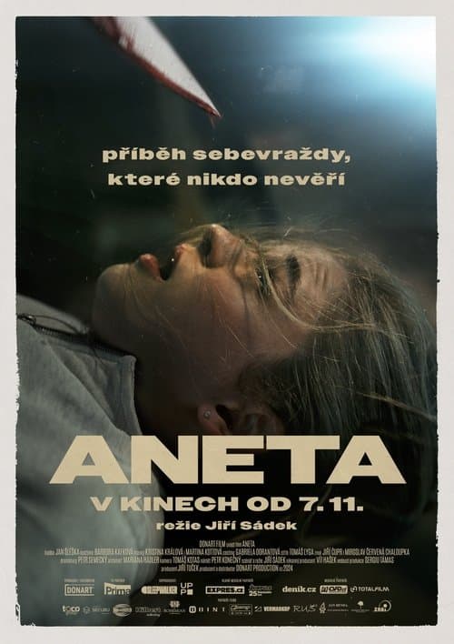 Aneta afişi