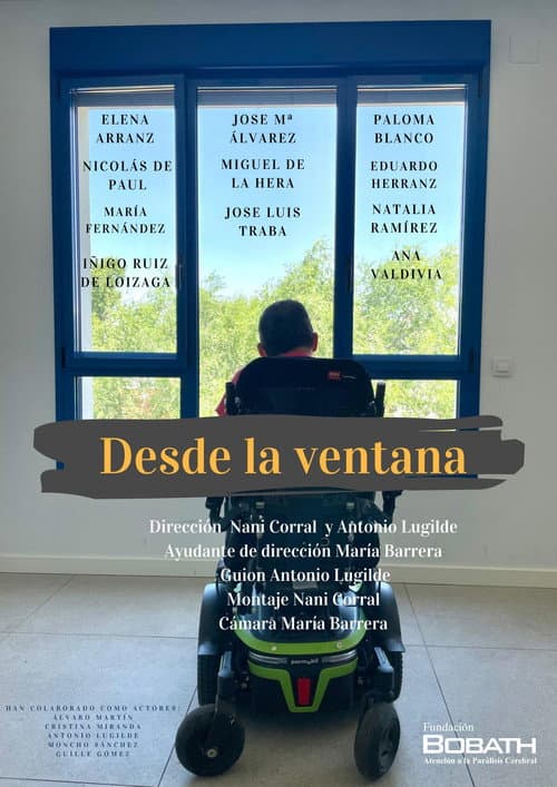 Desde la ventana afişi