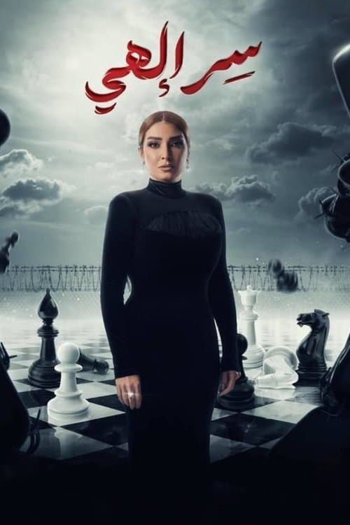 Divine Secret afişi