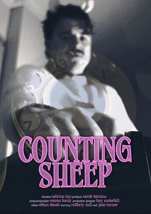 Counting Sheep afişi